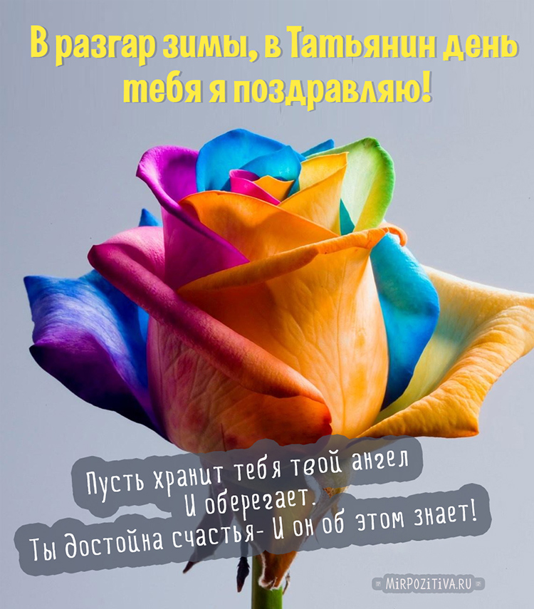 Картинка татьянин день 25 января прикольные, картинки черно белом