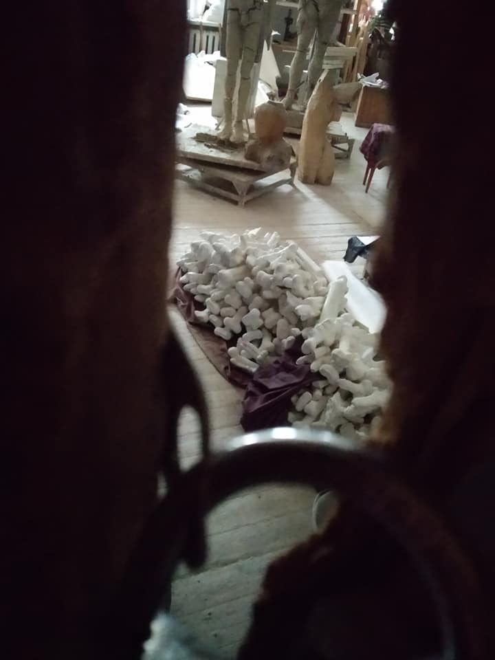 Экспозиция "парад членов"