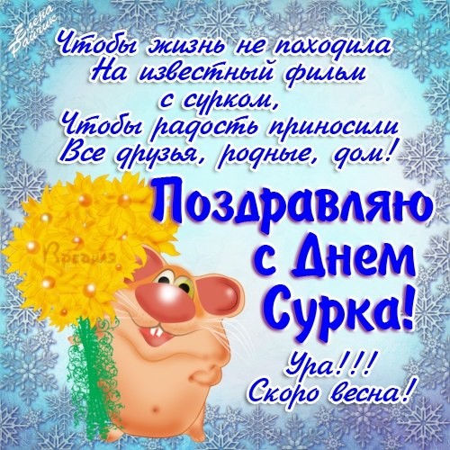 День сурка 2019, праздник – картинки
