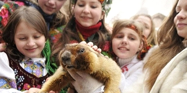 День сурка 2019, праздник – картинки