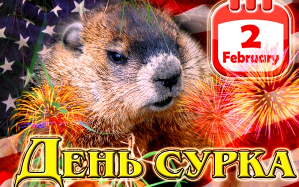 День сурка 2019, праздник – картинки