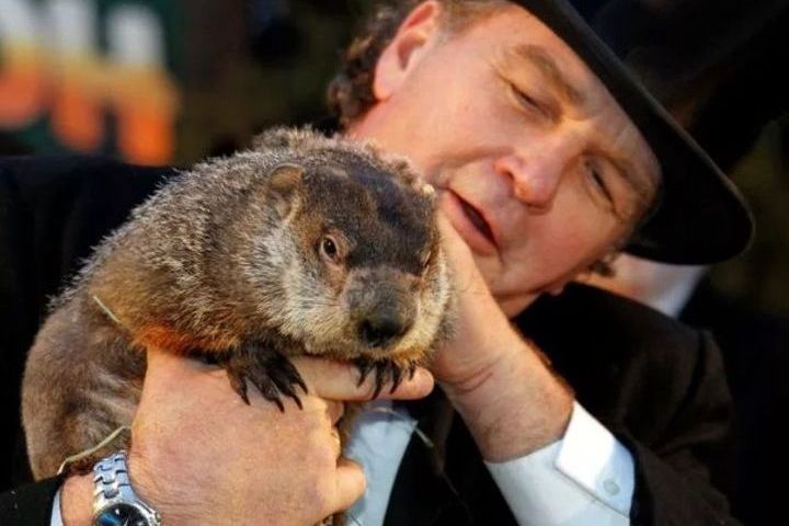 День сурка 2019, праздник – картинки