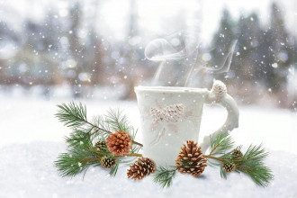 погода_снег_снегопад_метель_зима