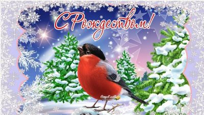 Оригинальные поздравления с Рождеством 2019: короткие смс и открытки