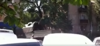 Стрельба, боевики