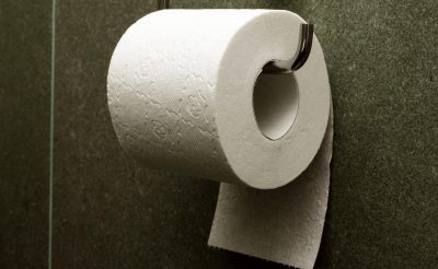 В Германии предложили отказаться от туалетной бумаги