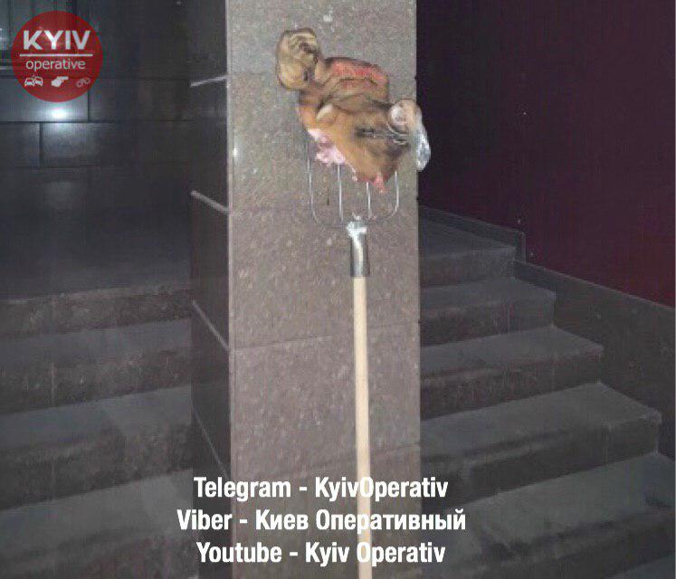 Свинья в гостях у Гордона