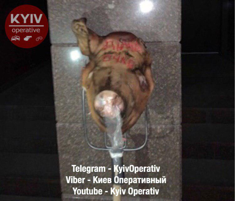 Свинья в гостях у Гордона