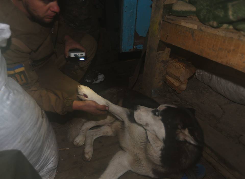 Новые киборги