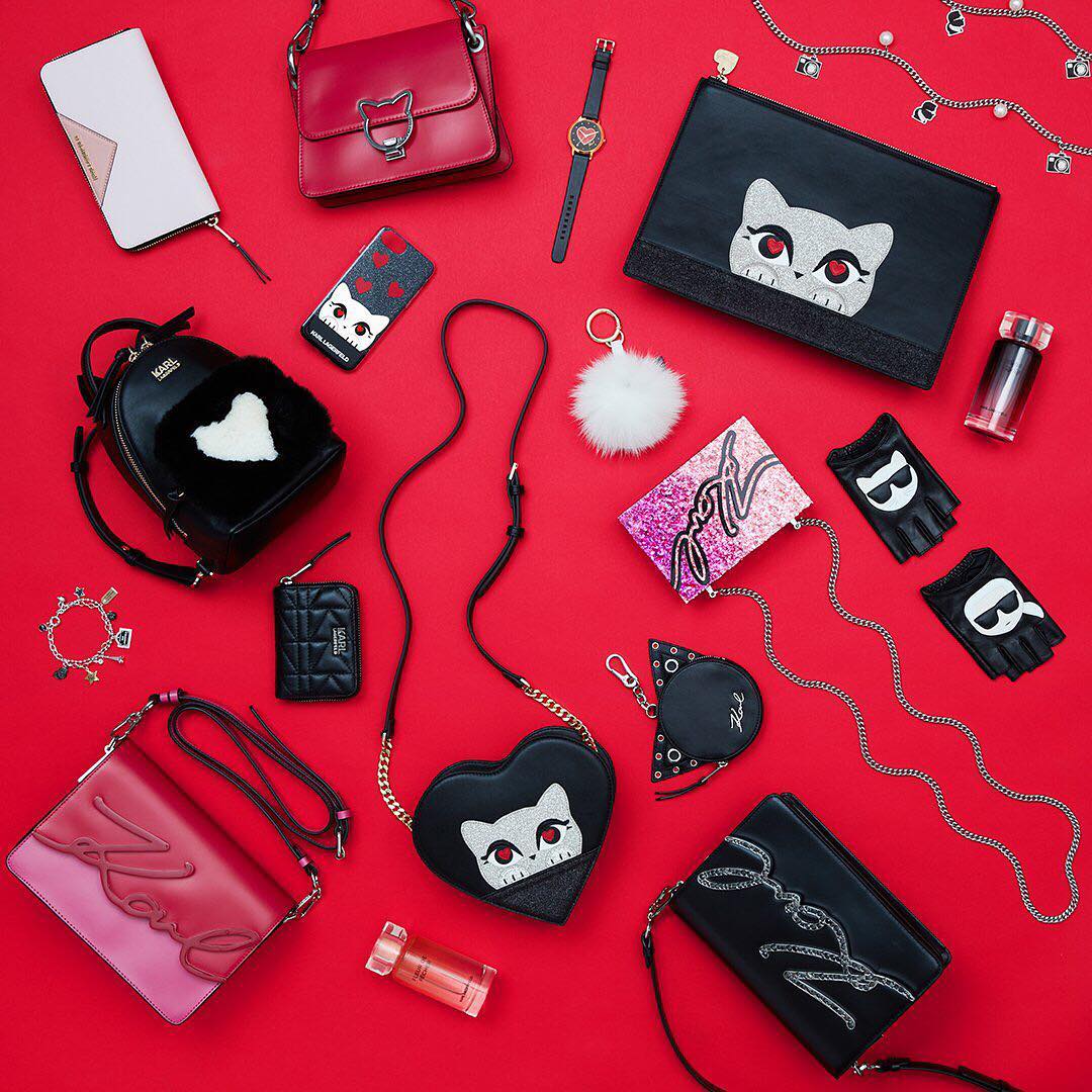 Карл Лагерфельд использовал изображение любимца в своих коллекциях