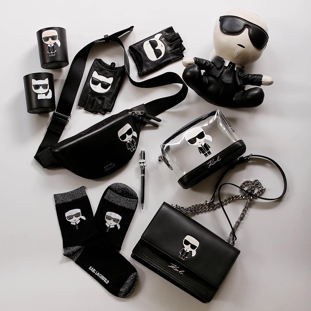 Карл Лагерфельд использовал изображение любимца в своих коллекциях