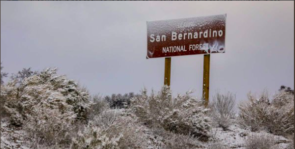 Снег в Лос-Анджелесе