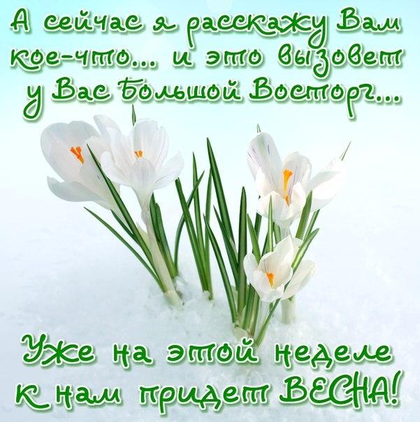Когда день русского единения в 2019 году - 21 сентября Когда день русского единения в 2019 году - 21 сентября