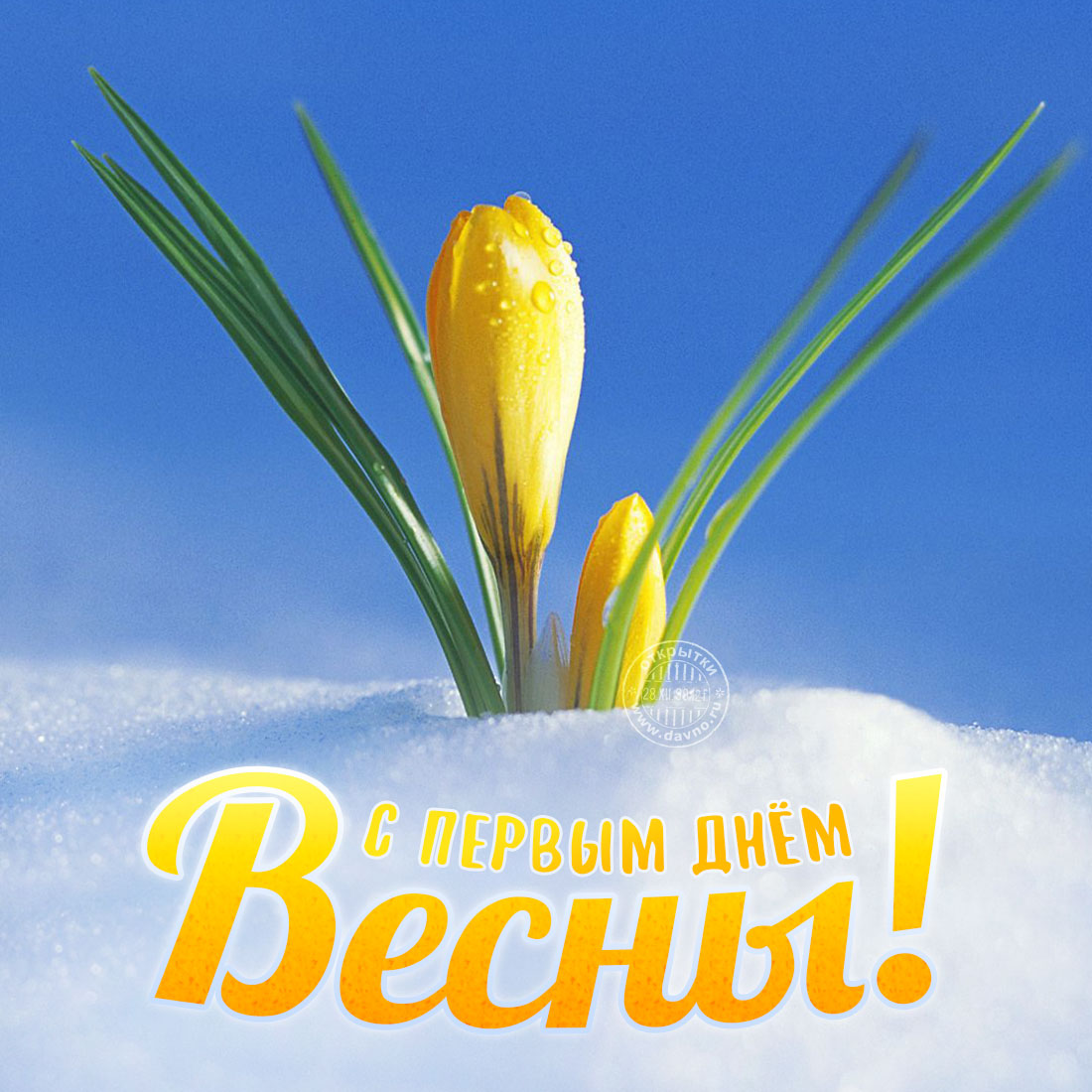 Картинки с 1 марта первый день весны красивые
