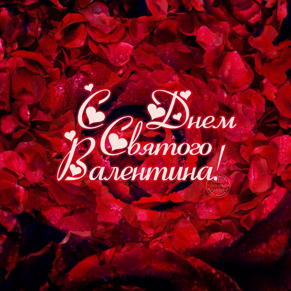 День святого Валентина прикольные поздравления в стихах и прозе | luchistii-sudak.ru