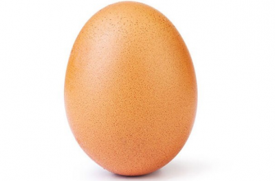 Обычное яйцо стало рекордсменом в соцсети / Фото: Instagram/world_record_egg Обычное яйцо стало рекордсменом в соцсети / Фото: Instagram/world_record_egg