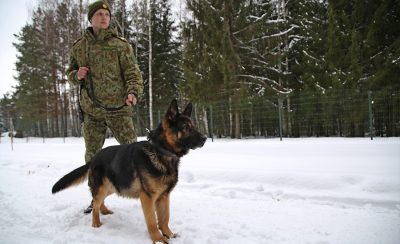 Белорусский пограничник