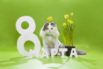 В Киеве в Международный женский день ожидается до +15 градусов В Киеве в Международный женский день ожидается до +15 градусов