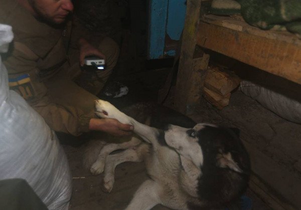 "Сразу за окопом - враг и смерть": Лойко опубликовал мощные фото бойцов ВСУ на передовой