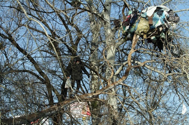 В Киеве пенсионер три года живет на дереве