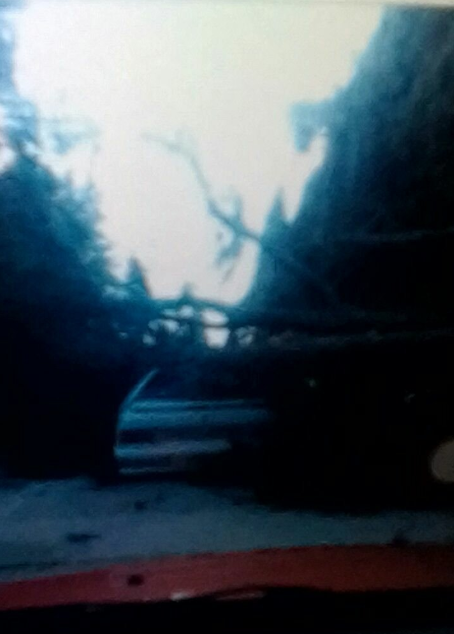 В Ялте бушевала непогода