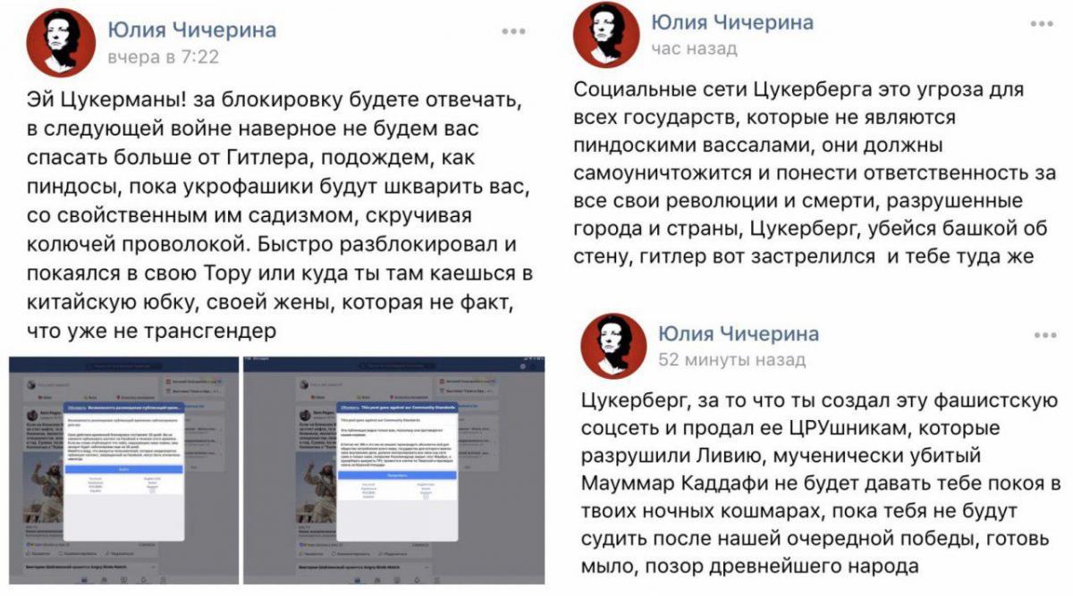 / Фото: Вконтакте/Юлия Чичерина / Фото: Вконтакте/Юлия Чичерина