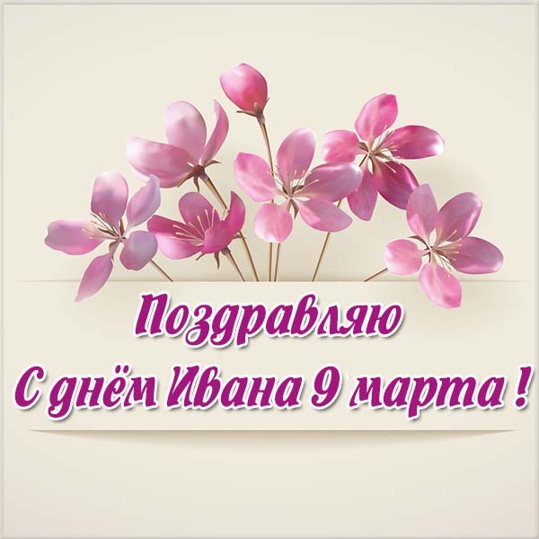 Именины Ивана – картинки