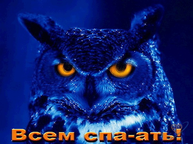 Всемирный день сна – картинки