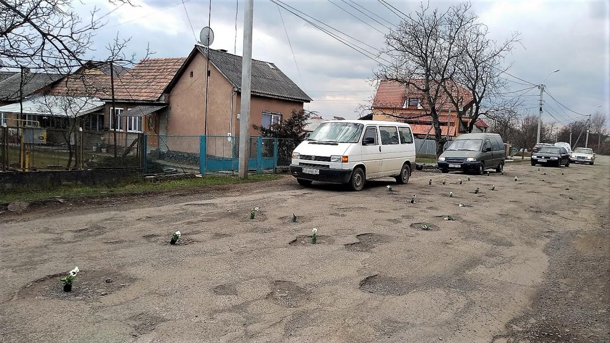 К приезду Петра Порошенко на Закарпатье в ямах на дорогах "выросли" цветы