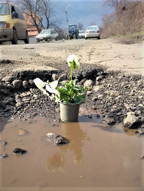 К приезду Петра Порошенко на Закарпатье в ямах на дорогах "выросли" цветы