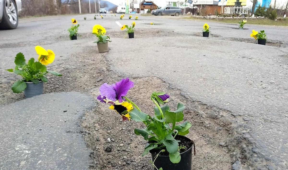 К приезду Петра Порошенко на Закарпатье в ямах на дорогах "выросли" цветы