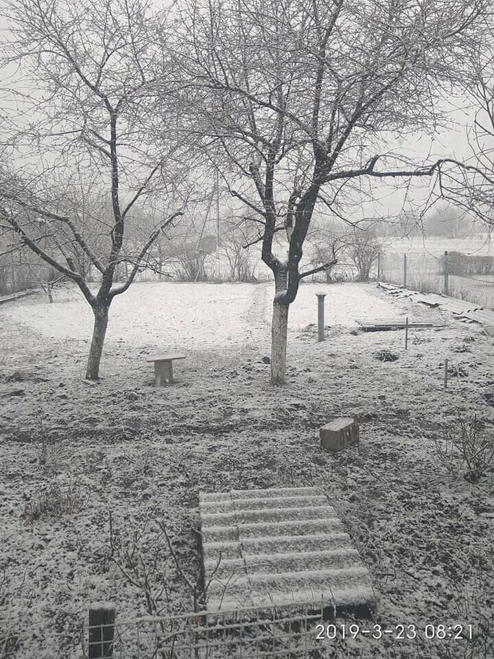 Снег в Донецке Снег в Донецке