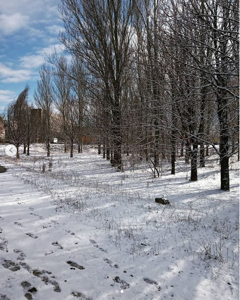 Снег в Донецке Снег в Донецке