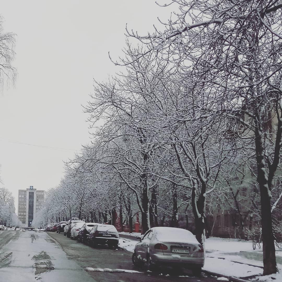 В конце марта в Украине неожиданно выпал снег