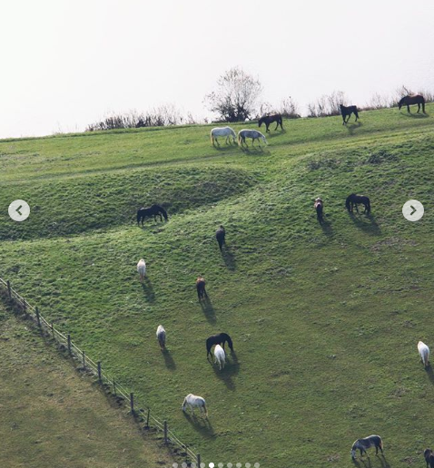 Замок Максима Галкина