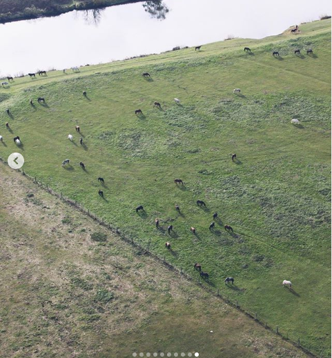 Замок Максима Галкина