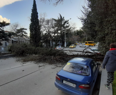 В Ялте бушевала непогода