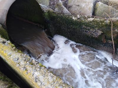 Стало известно о крупной экологической катастрофе под Киевом