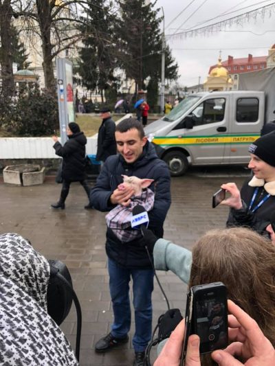 На митинге Порошенко в Луцке полиция "задержала" свинью в подгузнике
