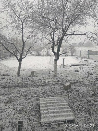 Среди весны Донецк замело снегом, опубликованы поразительные фото