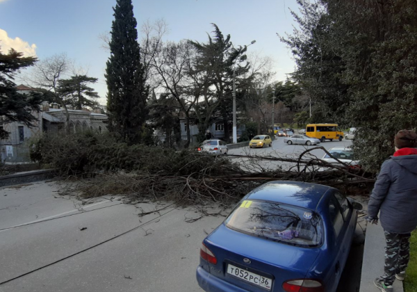 В Крыму бушевал ураган: сорваны крыши, повалены деревья