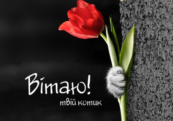 Прикольні привітання з наступаючим 8 Березня для найулюбленіших людей