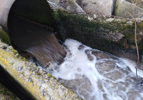 Стало известно о крупной экологической катастрофе под Киевом