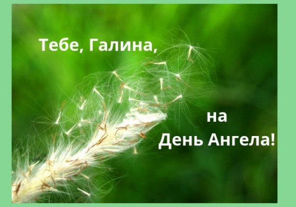 День Галины 2019: поздравления с Днем ангела Галины – тексты и открытки