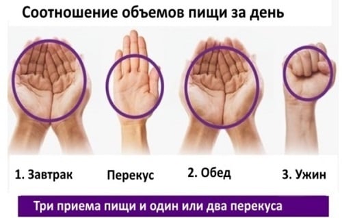 Правило руки - питание Правило руки - питание