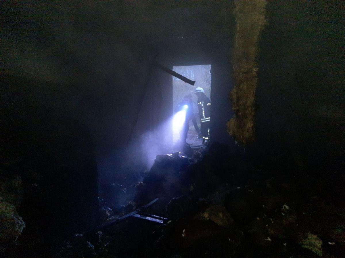 В Запорожье при пожаре погибли три человека, есть пострадавший