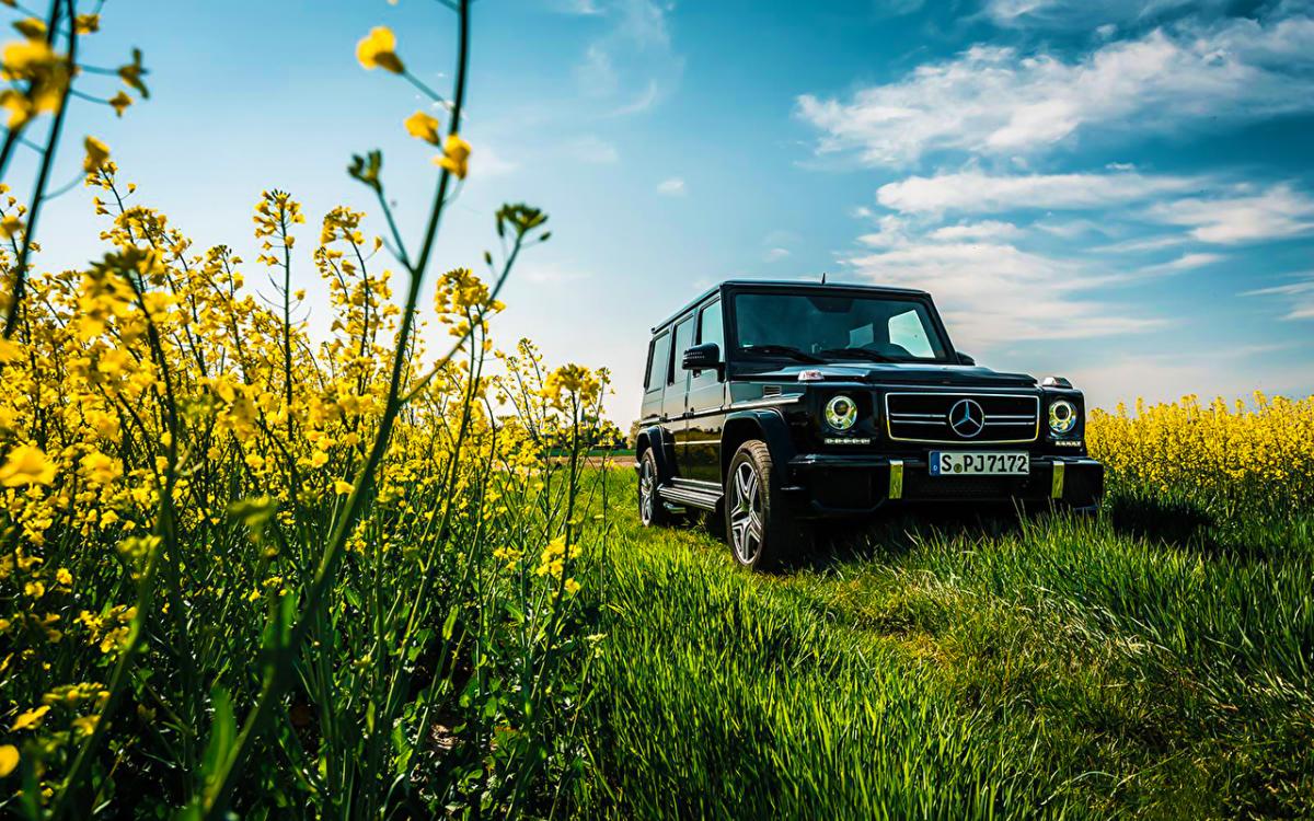 авто_машина_природа авто_машина_природа