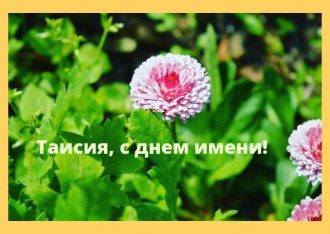 день таисии какого числа 2021. Смотреть фото день таисии какого числа 2021. Смотреть картинку день таисии какого числа 2021. Картинка про день таисии какого числа 2021. Фото день таисии какого числа 2021