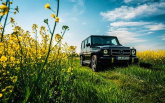 авто_машина_природа авто_машина_природа