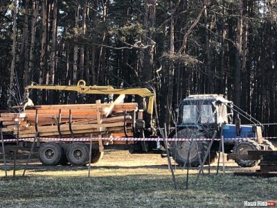 В Минске снесли кресты на мемориале жертв репрессий: все, что нужно знать о ситуации в Куропатах